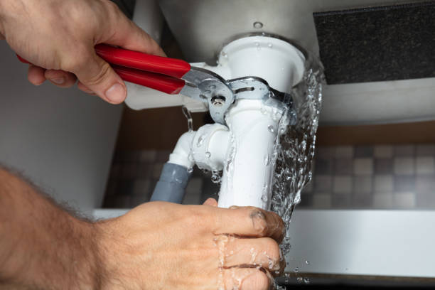 Best 24/7 water damage repair  in Dupo, IL