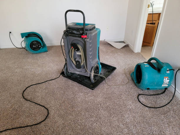 Best Flooded house restoration  in Dupo, IL