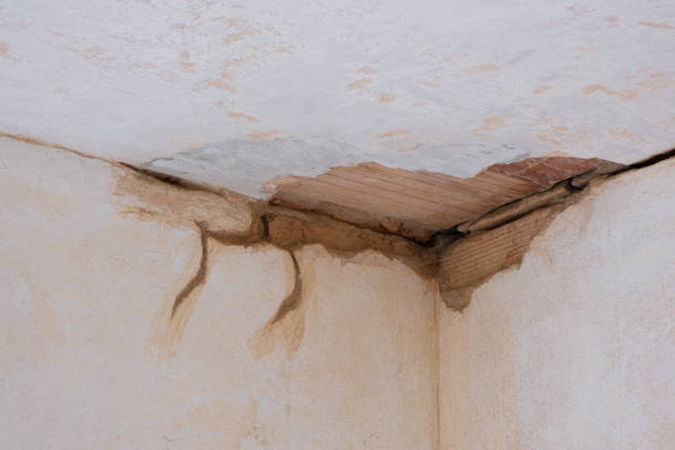 Best Commercial water damage restoration  in Dupo, IL