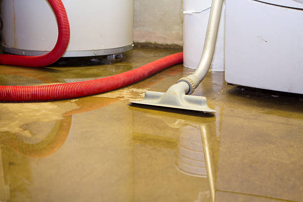Best 24-hour water damage restoration  in Dupo, IL