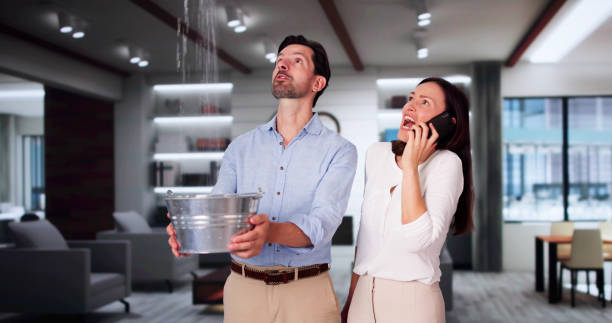 Best Ceiling water damage repair  in Dupo, IL