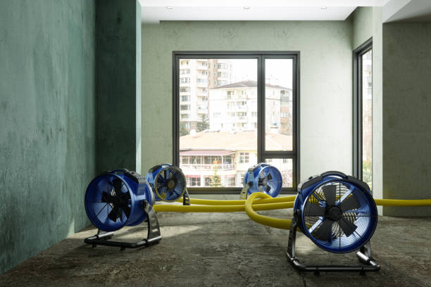 Sewage cleanup and water damage restoration in IL